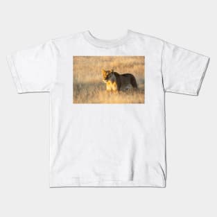 Lion in the grass. Kids T-Shirt